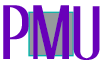 logo for pmariau.com